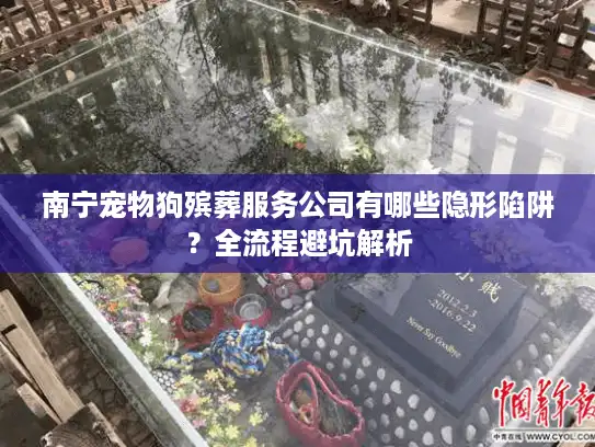南宁宠物狗殡葬服务公司有哪些隐形陷阱？全流程避坑解析
