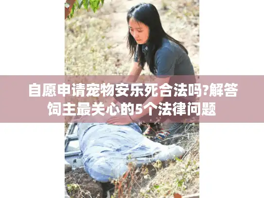 自愿申请宠物安乐死合法吗?解答饲主最关心的5个法律问题