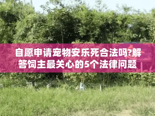自愿申请宠物安乐死合法吗?解答饲主最关心的5个法律问题