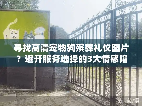 寻找高清宠物狗殡葬礼仪图片？避开服务选择的3大情感陷阱！