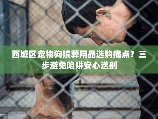 西城区宠物狗殡葬用品选购痛点？三步避免陷阱安心送别