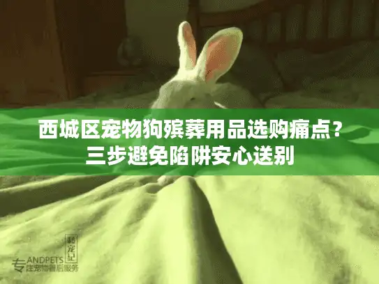 西城区宠物狗殡葬用品选购痛点？三步避免陷阱安心送别