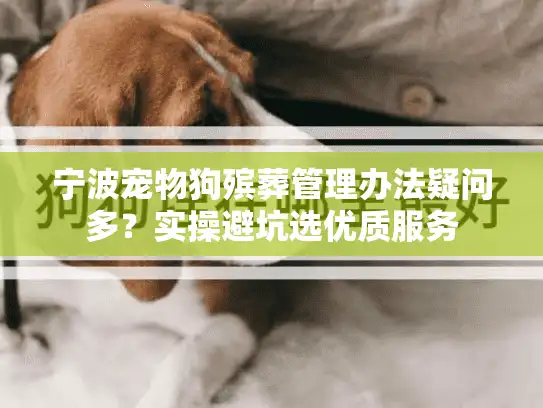 宁波宠物狗殡葬管理办法疑问多？实操避坑选优质服务