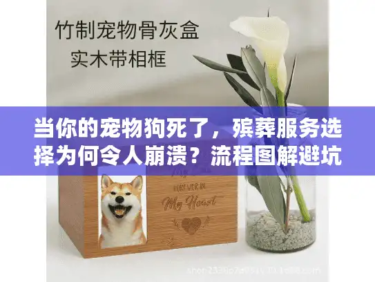 当你的宠物狗死了，殡葬服务选择为何令人崩溃？流程图解避坑指南