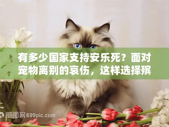 有多少国家支持安乐死？面对宠物离别的哀伤，这样选择殡葬服务更安心