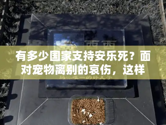 有多少国家支持安乐死？面对宠物离别的哀伤，这样选择殡葬服务更安心