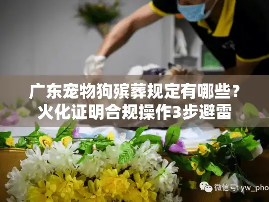广东宠物狗殡葬规定有哪些？火化证明合规操作3步避雷