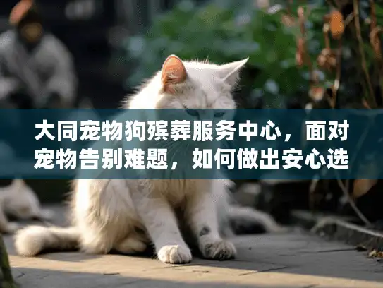 大同宠物狗殡葬服务中心，面对宠物告别难题，如何做出安心选择？