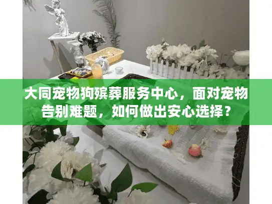 大同宠物狗殡葬服务中心，面对宠物告别难题，如何做出安心选择？