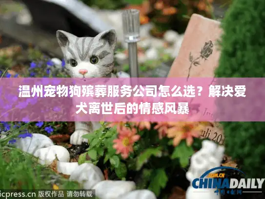温州宠物狗殡葬服务公司怎么选？解决爱犬离世后的情感风暴