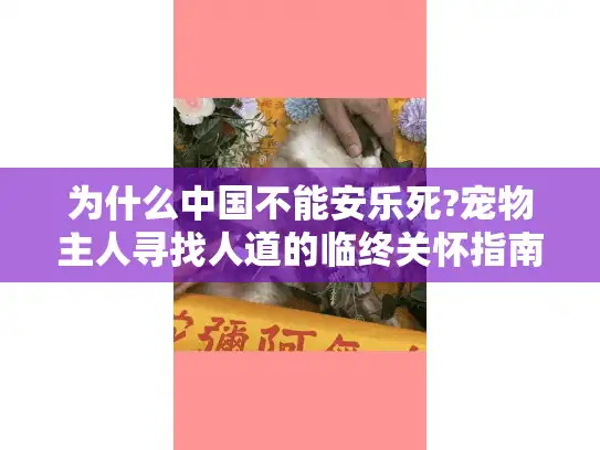 为什么中国不能安乐死?宠物主人寻找人道的临终关怀指南