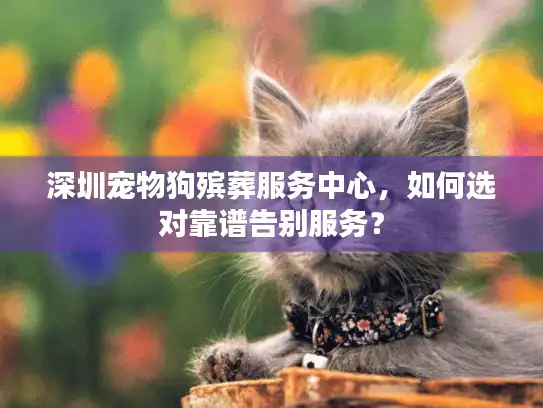 深圳宠物狗殡葬服务中心，如何选对靠谱告别服务？