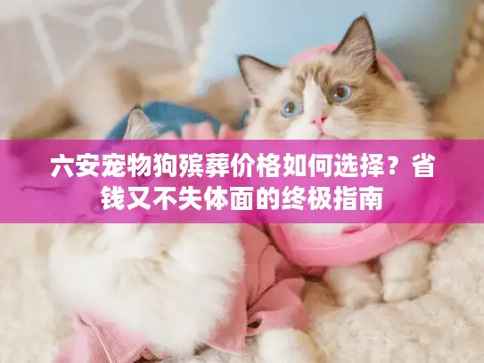 六安宠物狗殡葬价格如何选择？省钱又不失体面的终极指南