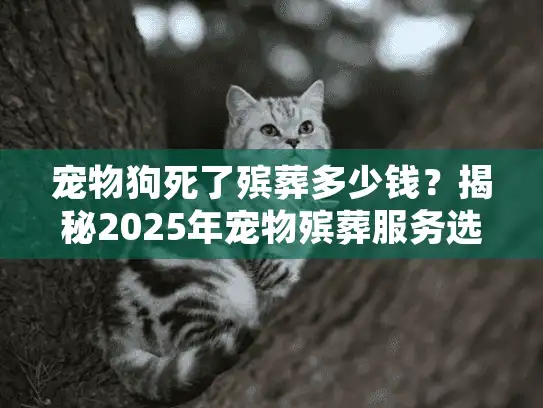 宠物狗死了殡葬多少钱？揭秘2025年宠物殡葬服务选择全攻略