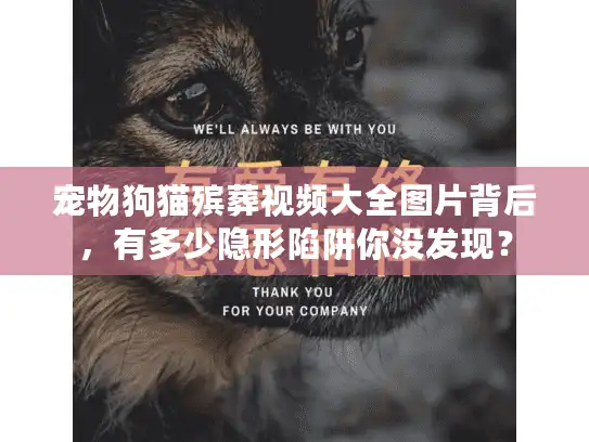 宠物狗猫殡葬视频大全图片背后，有多少隐形陷阱你没发现？