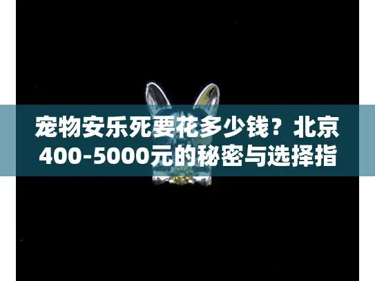 宠物安乐死要花多少钱？北京400-5000元的秘密与选择指南