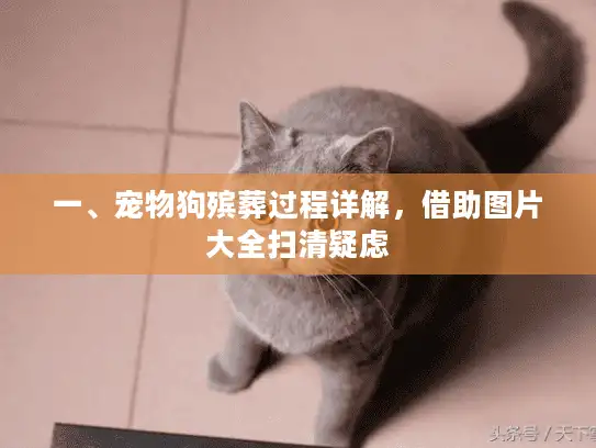 一、宠物狗殡葬过程详解，借助图片大全扫清疑虑