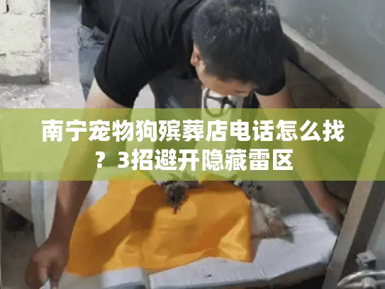 南宁宠物狗殡葬店电话怎么找？3招避开隐藏雷区
