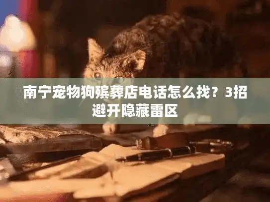 南宁宠物狗殡葬店电话怎么找？3招避开隐藏雷区