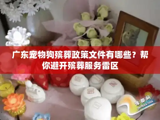广东宠物狗殡葬政策文件有哪些？帮你避开殡葬服务雷区