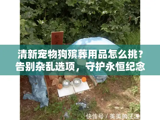 清新宠物狗殡葬用品怎么挑？告别杂乱选项，守护永恒纪念