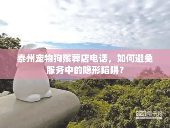 泰州宠物狗殡葬店电话，如何避免服务中的隐形陷阱？