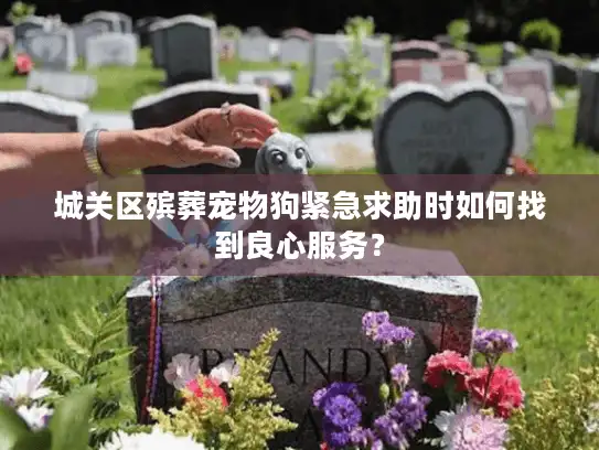 城关区殡葬宠物狗紧急求助时如何找到良心服务？