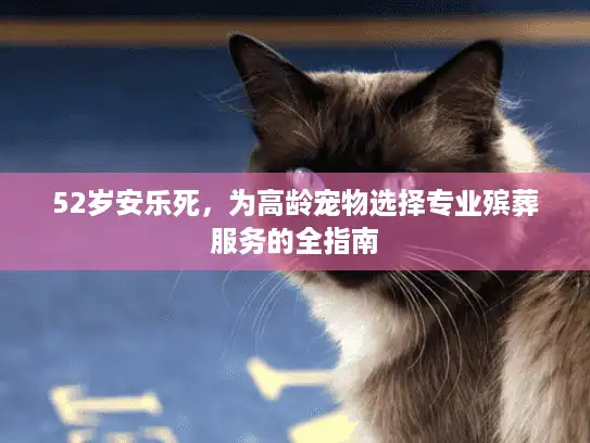 52岁安乐死，为高龄宠物选择专业殡葬服务的全指南