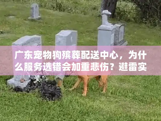 广东宠物狗殡葬配送中心，为什么服务选错会加重悲伤？避雷实战手册