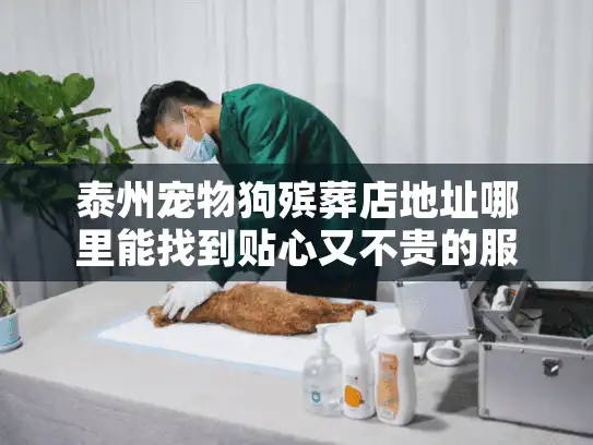 泰州宠物狗殡葬店地址哪里能找到贴心又不贵的服务？