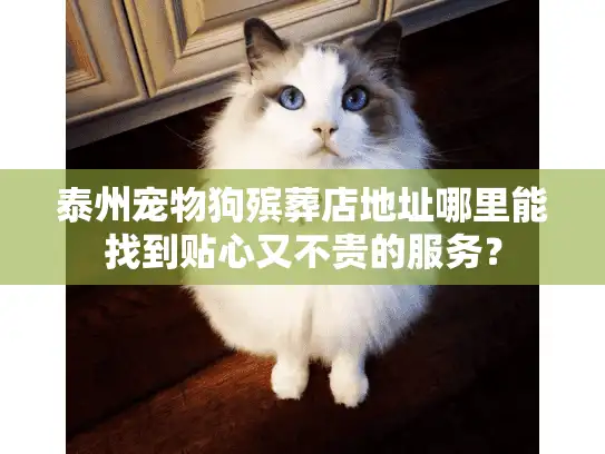 泰州宠物狗殡葬店地址哪里能找到贴心又不贵的服务？