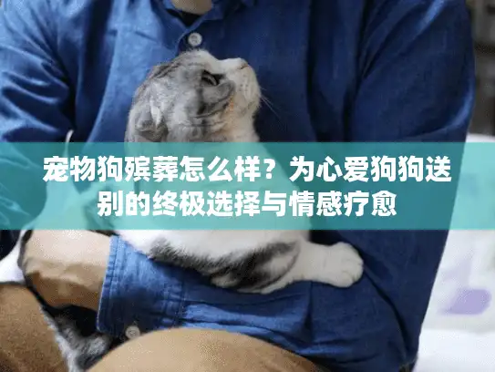宠物狗殡葬怎么样？为心爱狗狗送别的终极选择与情感疗愈
