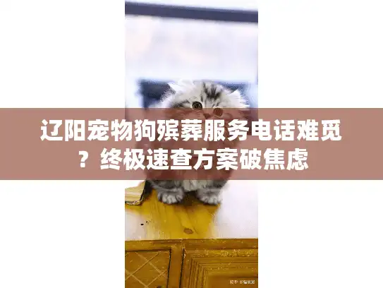辽阳宠物狗殡葬服务电话难觅？终极速查方案破焦虑