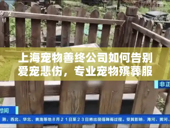 上海宠物善终公司如何告别爱宠悲伤，专业宠物殡葬服务权威指南