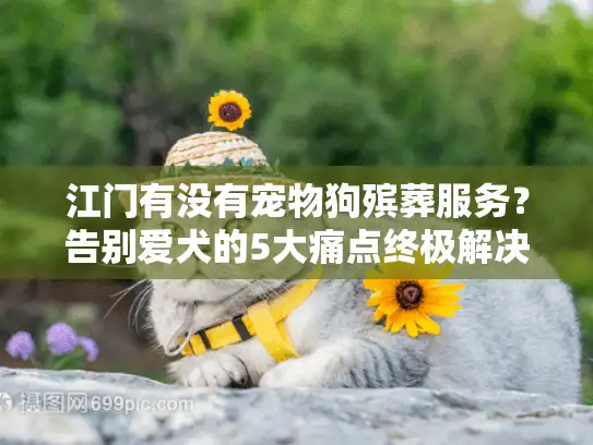 江门有没有宠物狗殡葬服务？告别爱犬的5大痛点终极解决指南