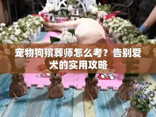 宠物狗殡葬师怎么考？告别爱犬的实用攻略