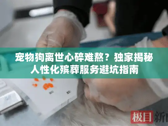 宠物狗离世心碎难熬？独家揭秘人性化殡葬服务避坑指南