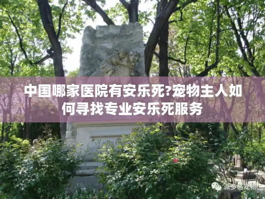 中国哪家医院有安乐死?宠物主人如何寻找专业安乐死服务