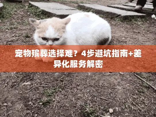 宠物殡葬选择难？4步避坑指南+差异化服务解密