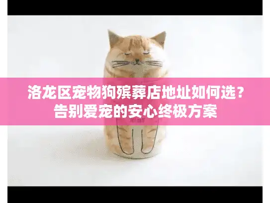 洛龙区宠物狗殡葬店地址如何选？告别爱宠的安心终极方案