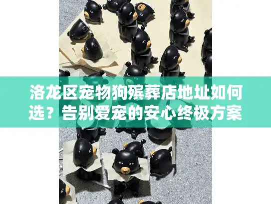 洛龙区宠物狗殡葬店地址如何选？告别爱宠的安心终极方案