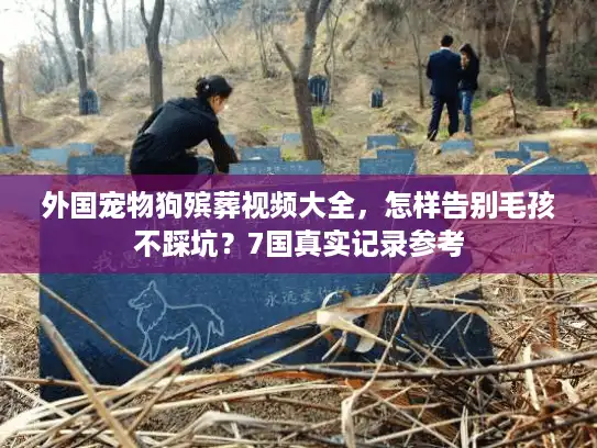 外国宠物狗殡葬视频大全，怎样告别毛孩不踩坑？7国真实记录参考