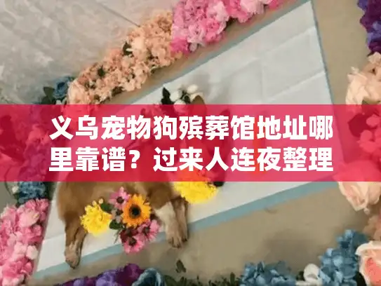 义乌宠物狗殡葬馆地址哪里靠谱？过来人连夜整理的避坑地图