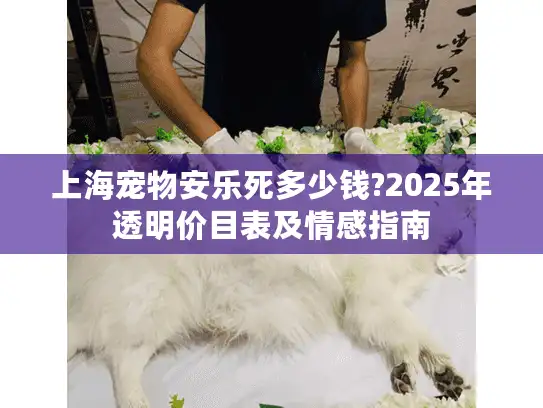 上海宠物安乐死多少钱?2025年透明价目表及情感指南