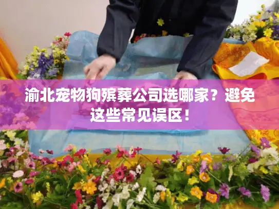渝北宠物狗殡葬公司选哪家？避免这些常见误区！