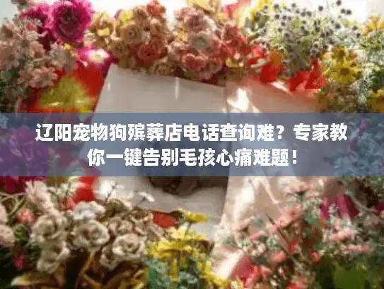 辽阳宠物狗殡葬店电话查询难？专家教你一键告别毛孩心痛难题！