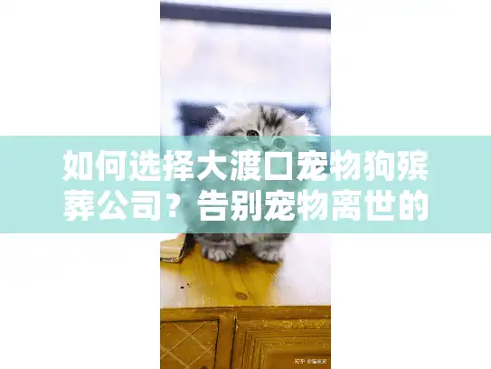 如何选择大渡口宠物狗殡葬公司？告别宠物离世的迷茫