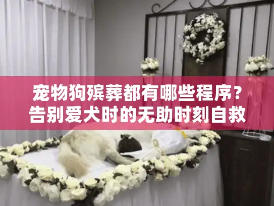 宠物狗殡葬都有哪些程序？告别爱犬时的无助时刻自救指南