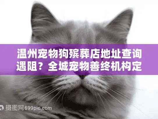 温州宠物狗殡葬店地址查询遇阻？全城宠物善终机构定位指南