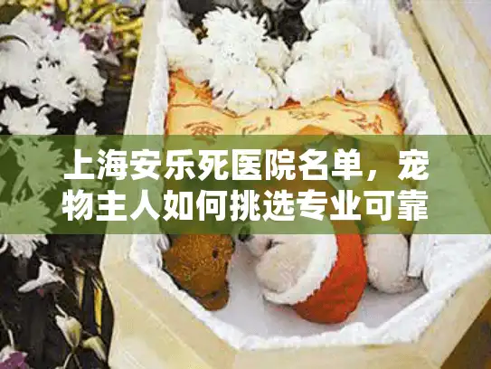 上海安乐死医院名单，宠物主人如何挑选专业可靠机构？